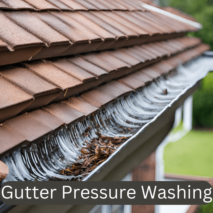 Gutter Pressure Washing